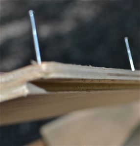 Here's a fuzzy photo showing finish nails set into pre-drilled holes in preparation to glue the sides onto the back.