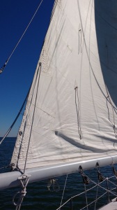 Here's an image of the repaired sail in use. The repairs aren't beautiful, but the are strong.